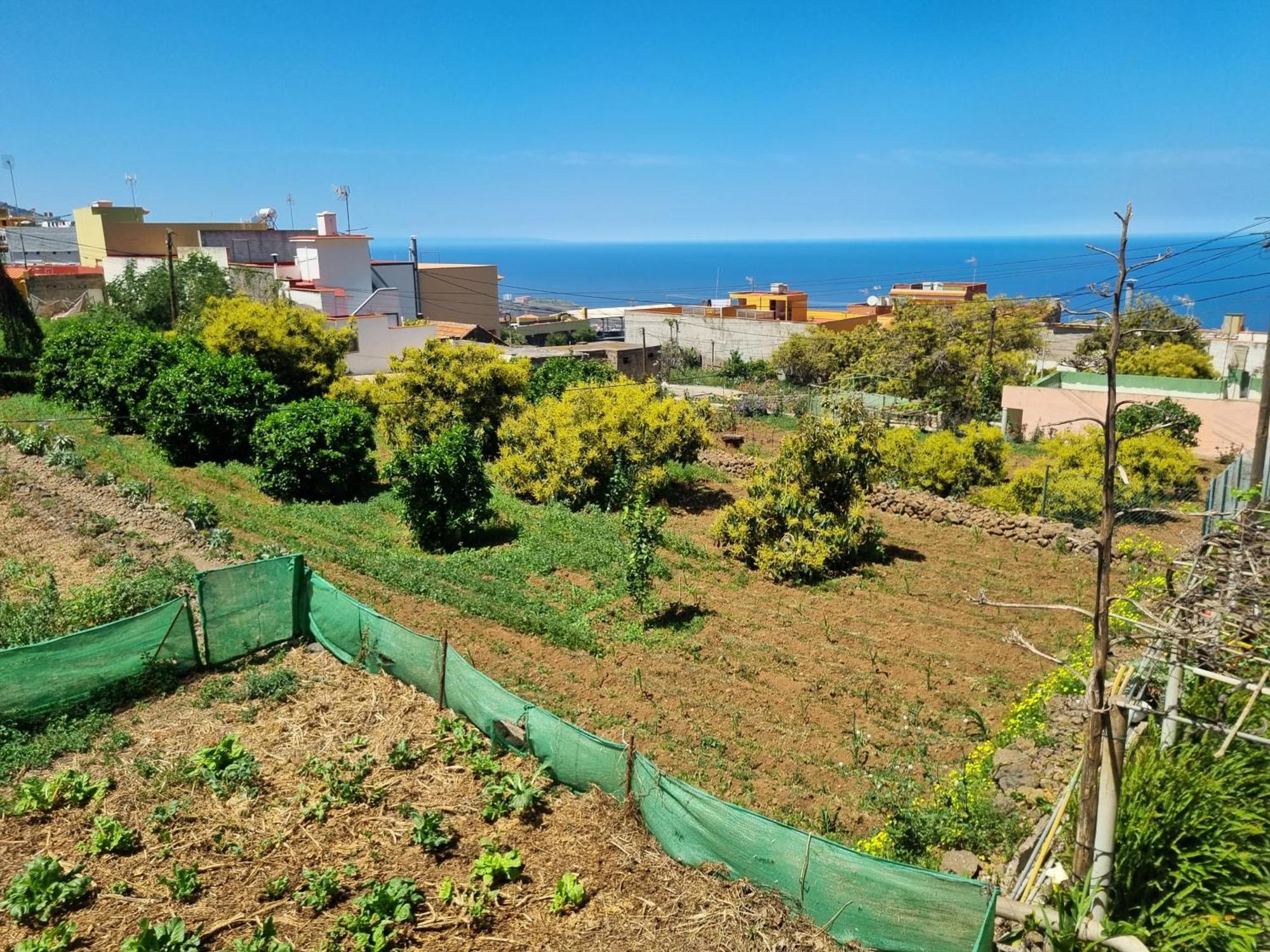 Vivienda Vacacional Ca Na Paula Villa La Orotava Exterior foto