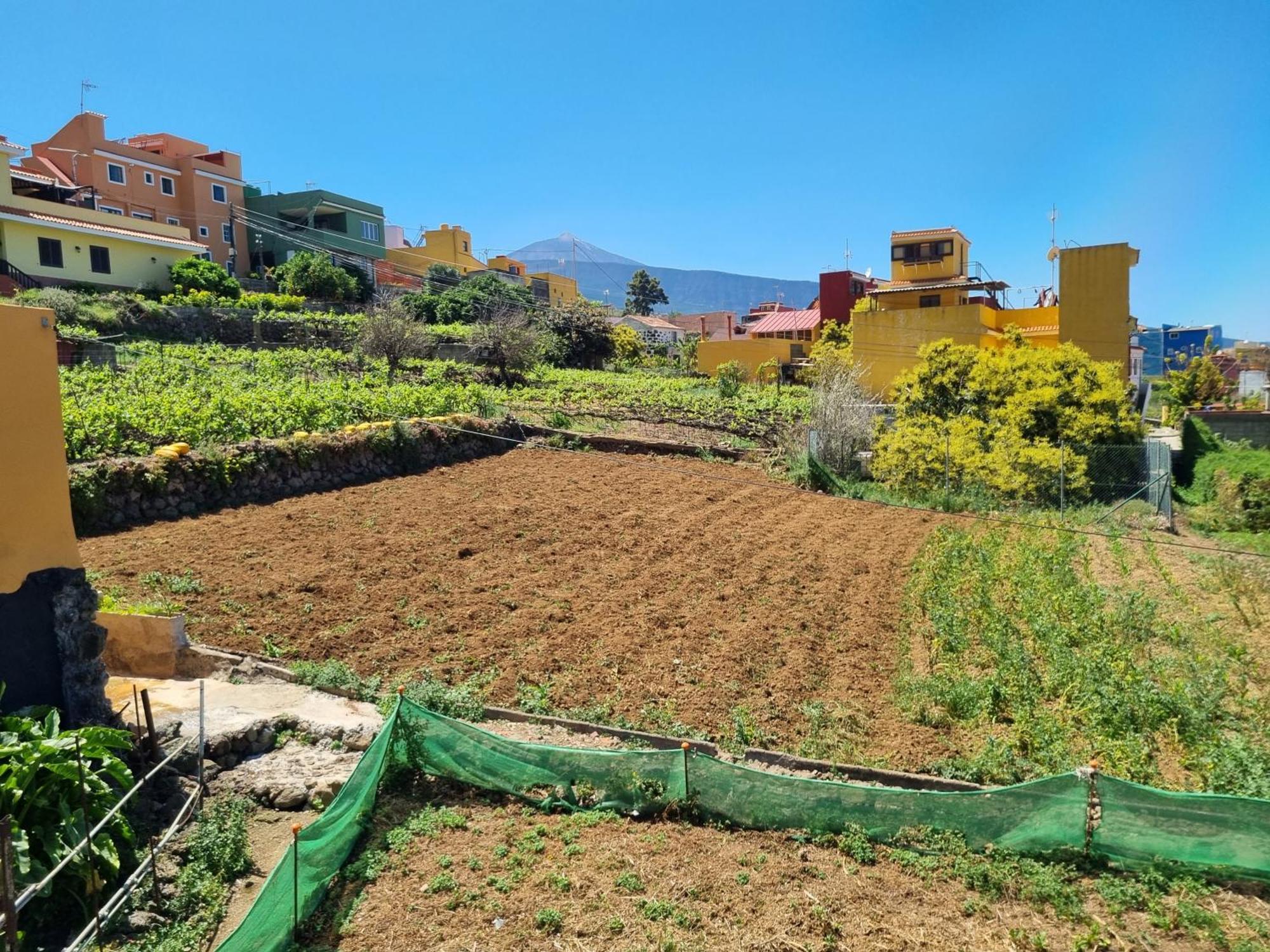 Vivienda Vacacional Ca Na Paula Villa La Orotava Exterior foto